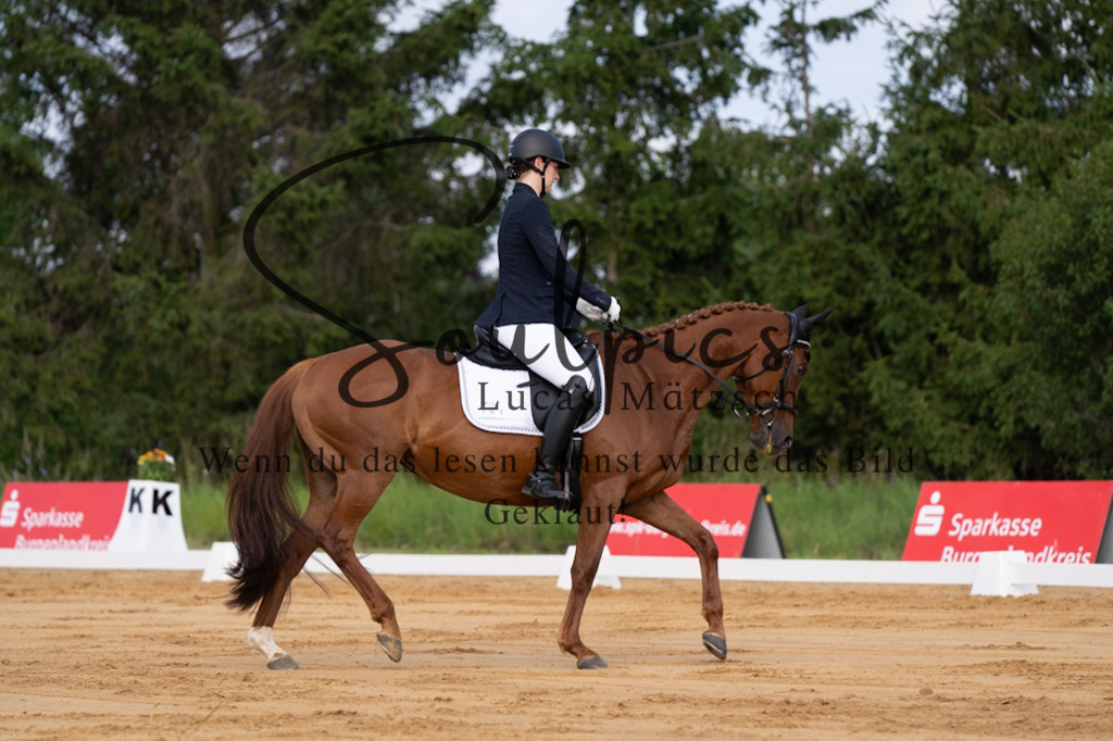 A7V05101 | Pferdefotograf