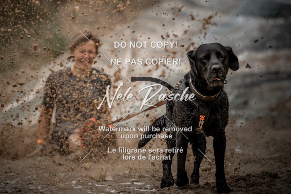 nelerasche_sa1000-1100_402 | nelerasche