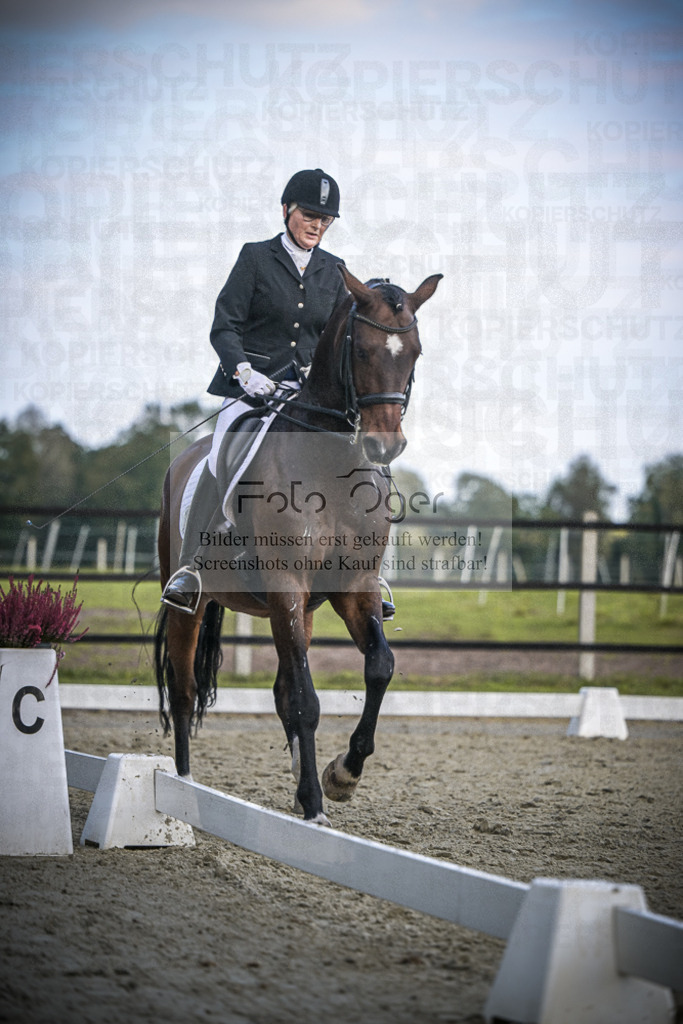 DOS_0643 | Entdecke hochwertige Reitturnierfotos von Foto Oger. Professionell, emotional und authentisch – jetzt Lieblingsmomente im Shop bestellen.Deutschlandweite Turnierfotografie. - Realisiert mit Pictrs.com