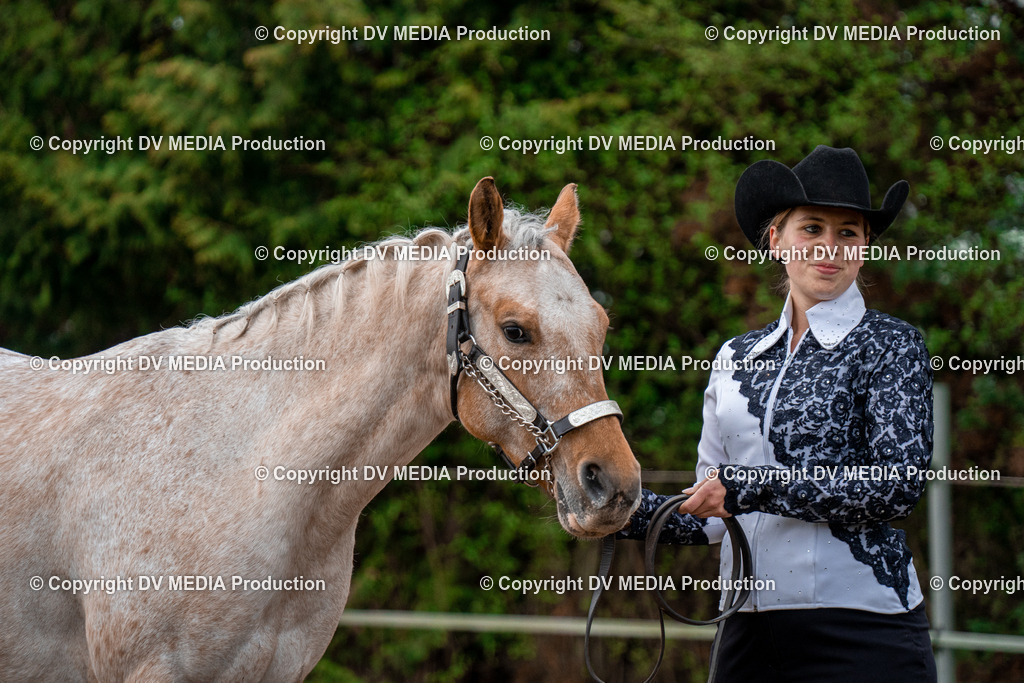 BA300072 | dv-media-shop - Realisiert mit Pictrs.com