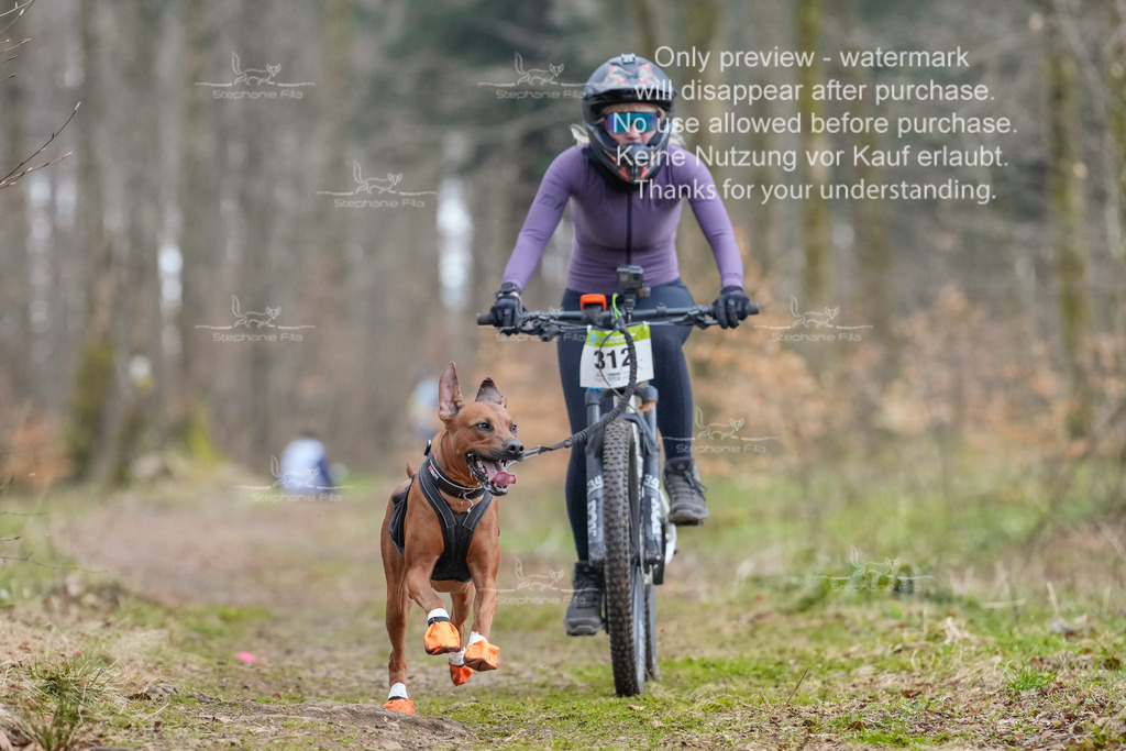 BikekurzSa-127 | stephaniefillaphotographie - Realisiert mit Pictrs.com