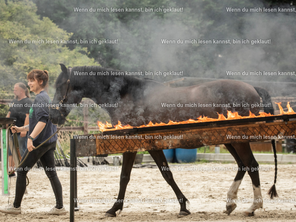 598A6709 | photographylinaismer - Realisiert mit Pictrs.com