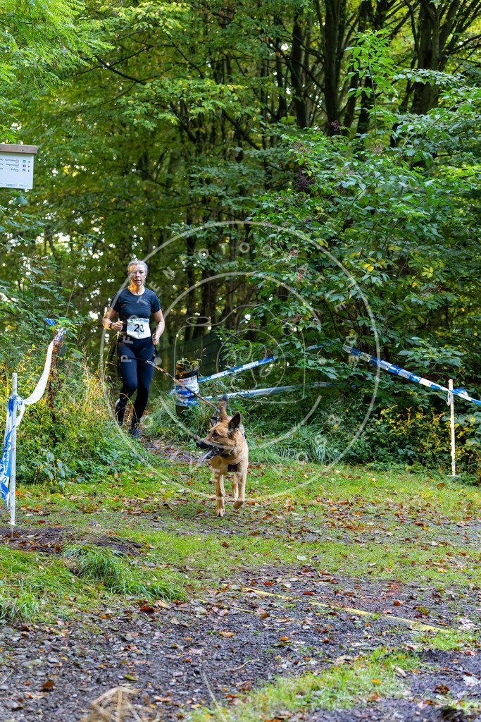 Pfotenfotografie_DV3A6509 | Hundefotografie, Tierfotograf, Pfotenfotografie, Fotoshooting Hund, Hunde Portrait, Hundesport, Hundeportraits, Heideshooting, Hunde, Sportfotograf, Hundefotograf, Turnierhundsport, THS,  - Realisiert mit Pictrs.com