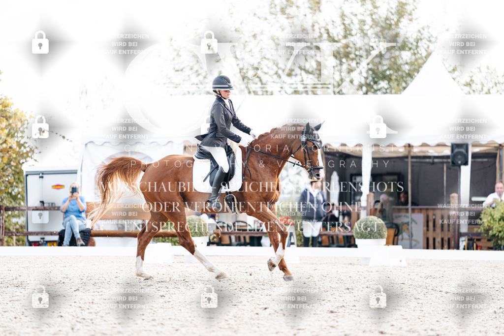 CK901338 | Turnierfotografie Pferdefotografie Trier Rheinland-Pfalz Pferdesport Reitsport Tierfotografie Sportfotografie Pferdevideo Pferdevideografie Equestrianvideography equestrianphotography  - Realisiert mit Pictrs.com