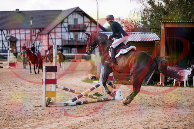 2026_10_03_Siefer-Hof_144052_Z81_12273304 | Professionelle Reitsport-, Turnier- und Eventfotografie von Robert Broda. Galerien mit ausgewählten und bearbeiteten Bildern direkt online ansehen und bestellen.