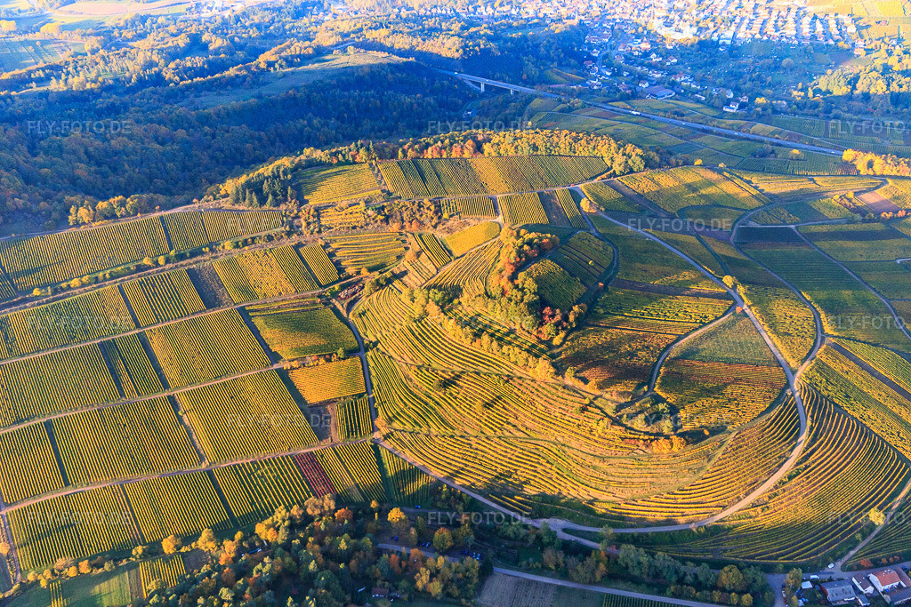 Luftbild: Herbstlicht bunte Reben der Weinberge der Lage Kastanienbusch in Birkweiler im Bundesland Rheinland-Pfalz in Deutschland. Foto: IMG_095707.jpg vom 30.10.2016 durch Werner Riehm/FLY-FOTO.de