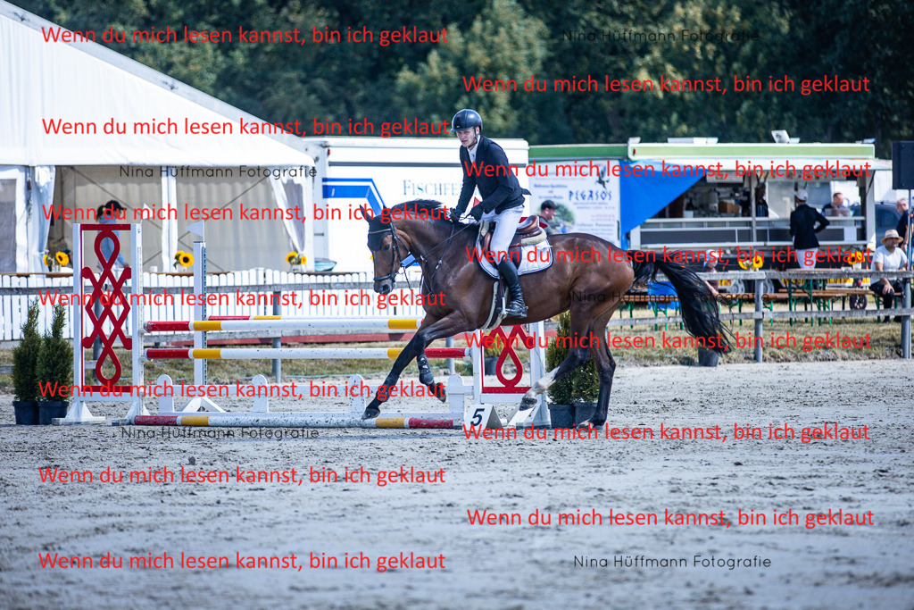 BK1A5274 | Turnierbilder Turnierfotos Nina Hüffmann Turnierfotografie Pferdefotografie Tierzeichnung Haustierzeichnung Pferdezeichnung Hundezeichnung Videograf  - Realisiert mit Pictrs.com