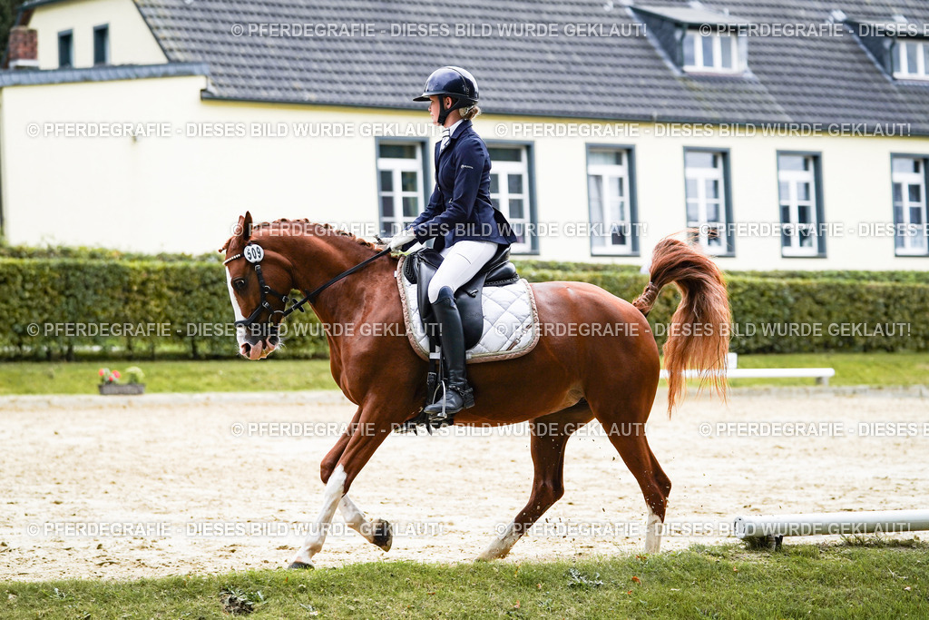 DSC07576 | Pferdegrafie