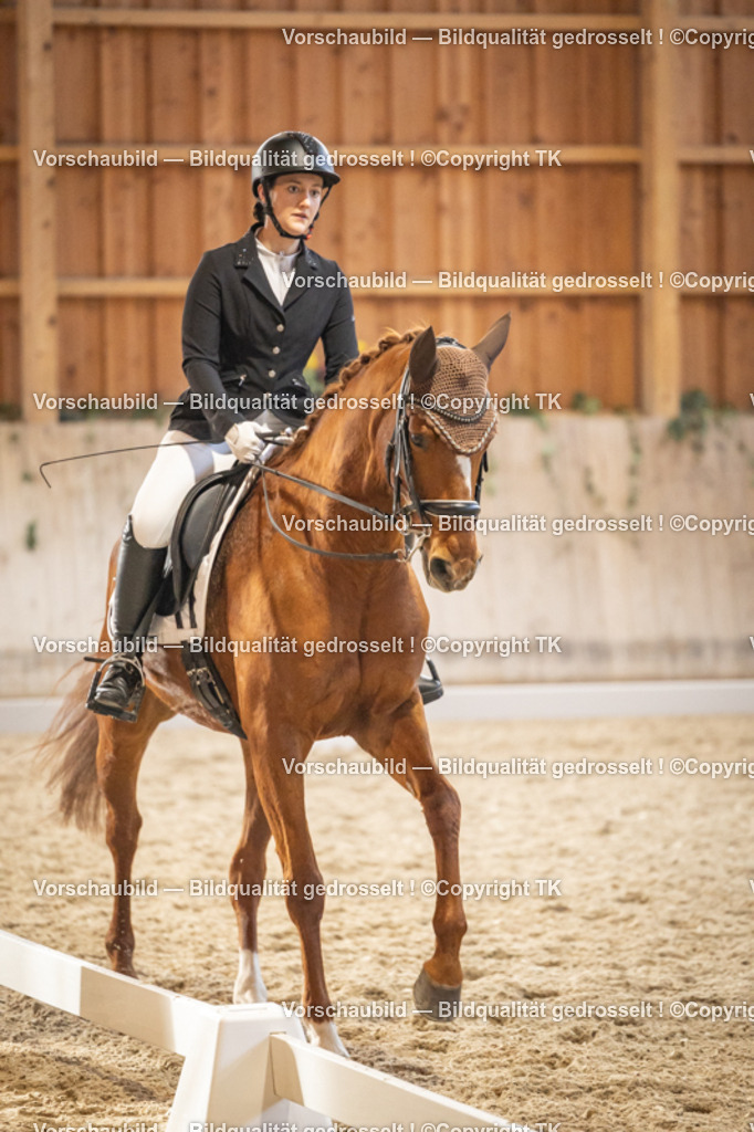 _D5A9712 | Emotionale Pferde- & People-Fotografie rund um Heidelberg, Leimen & Umgebung. Natürliche Fotos von Pferd, Mensch & Familie. Jetzt Termin sichern!