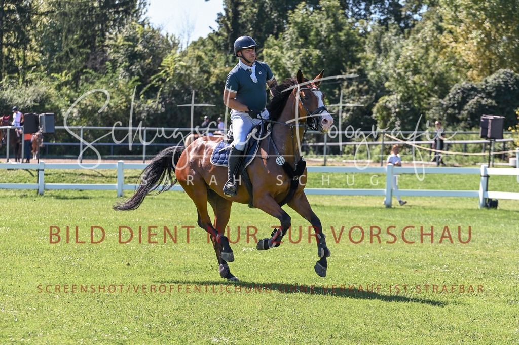Schugtsche-Düren.2024.03-Springpferde.L-38 | Schugtsche Fotografie - Realisiert mit Pictrs.com