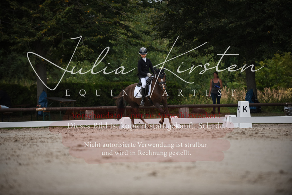 DSC_8143 | Pferde- und Turnierfotografie in Westsachsen. Pferdeportraits, Auftragszeichnungen und intuitive Kunst.