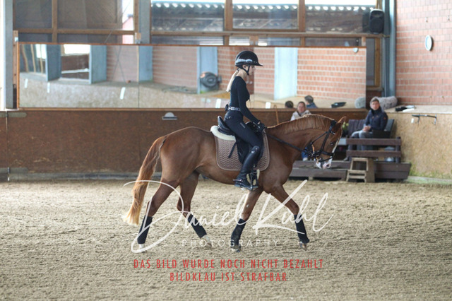 DKP42575 | Turniersportfotografie; Pferdefotografie; Dressurfotografie
