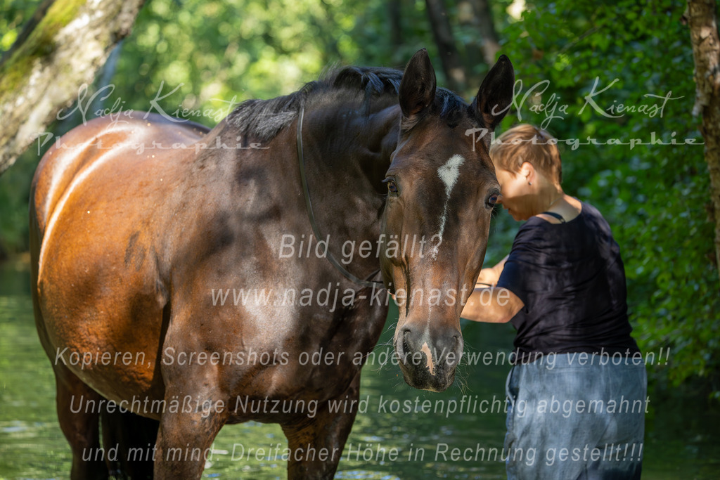 Auswahl_Photographie_Nadja_Kienast__IE_8381-Verbessert-RR | Ich biete Ihnen einzigartige und individuelle Fotoshootings mit Ihren Tieren.
In individuellen Coachings lernen Sie, wie sie von Ihrem Pferd, Ihrer Katze, Ihrem Hund oder einfach Ihrem persönlichen Lieblingstier eindrucksvolle Fotos machen können.