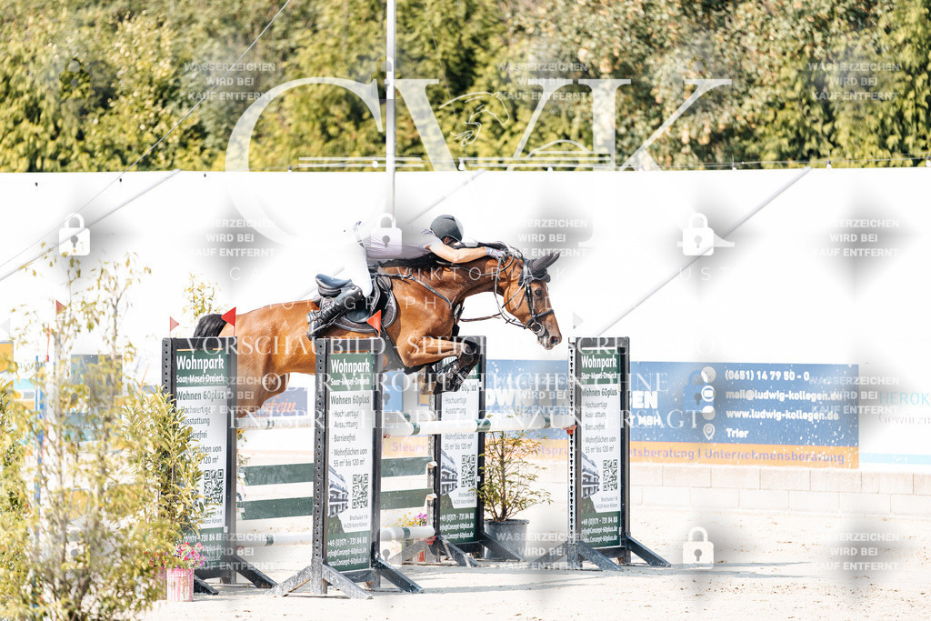 CK902278 | Turnierfotografie Pferdefotografie Trier Rheinland-Pfalz Pferdesport Reitsport Tierfotografie Sportfotografie Pferdevideo Pferdevideografie Equestrianvideography equestrianphotography  - Realisiert mit Pictrs.com