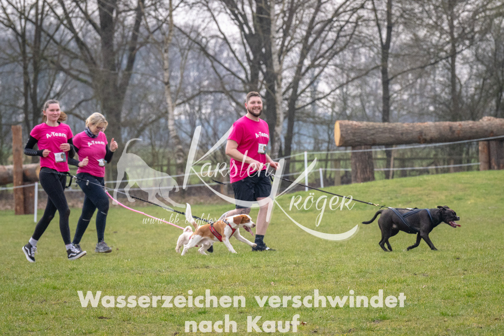 _ZZ91454 | kk-dogfotos