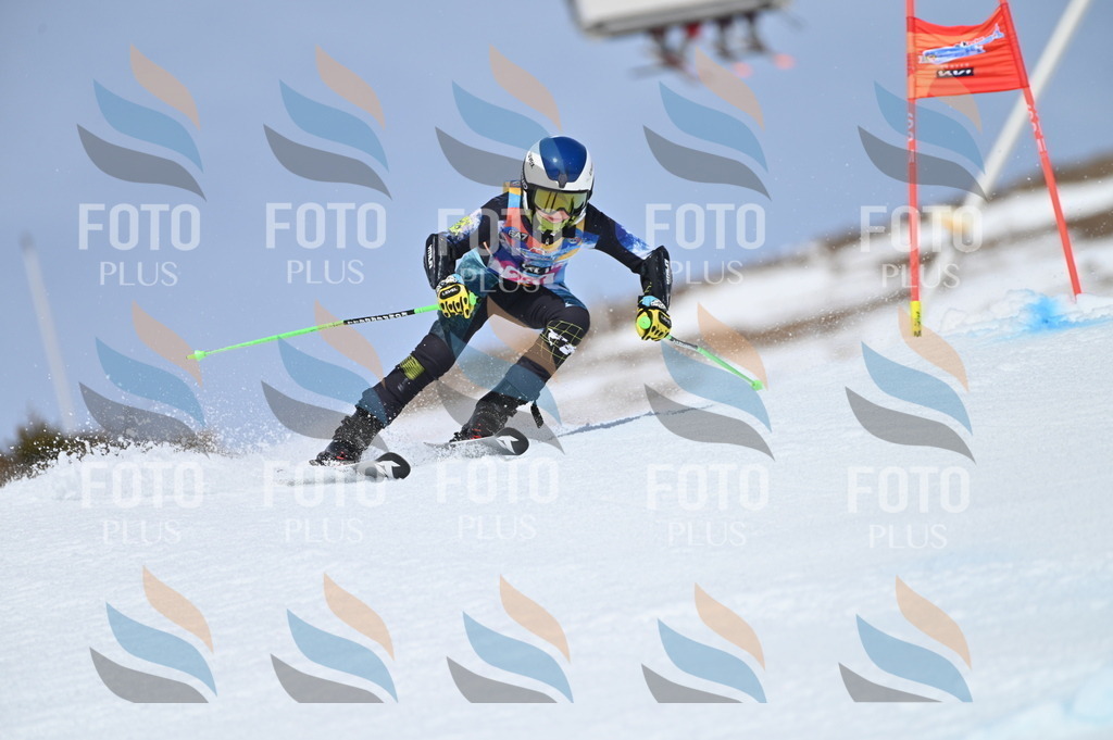 BGV_1513 | holidayphoto