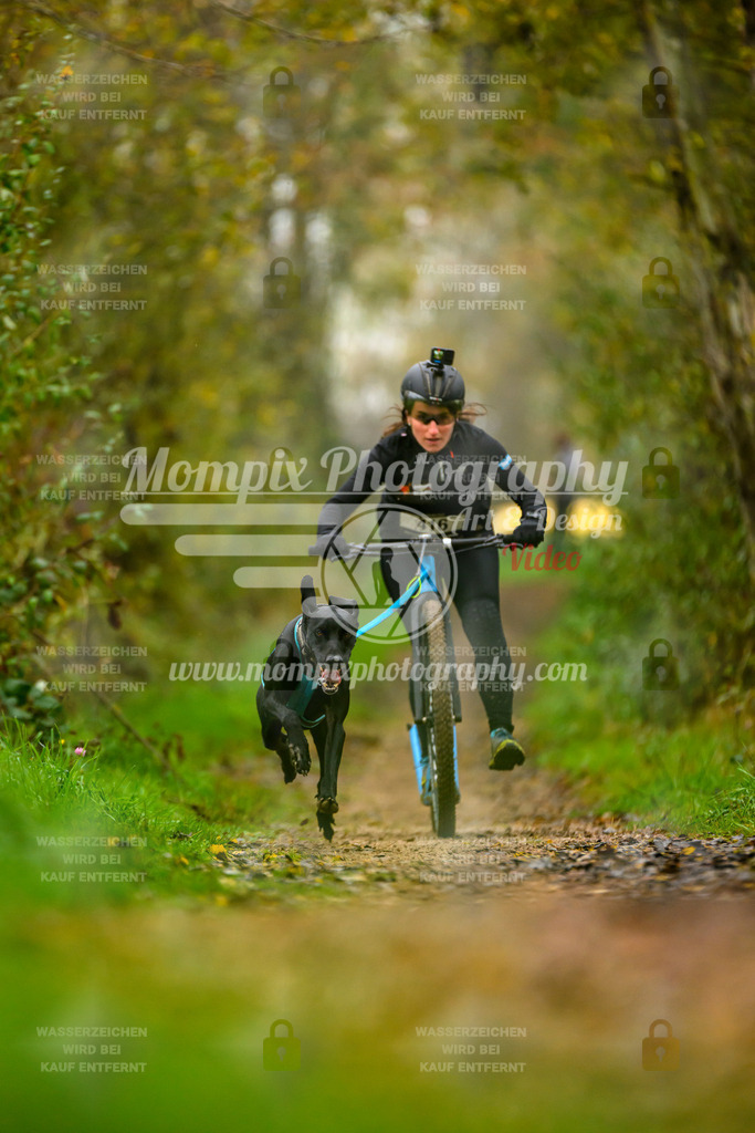 MompixPhotography_20TSB_E6_DS1-2 | PayLife