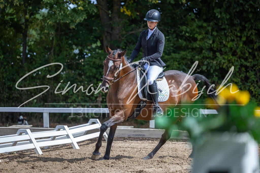 20260905-_3LI7794 | Tierfotografie Pferde, Hunde, Katzen, Haustiere.
Turnierfotografie Reitturniere, Reiten, Springreiten, Dressur in Hanau, dem Main-Kinzig-Kreis und dem Rhein-Main- Gebiet um Frankfurt