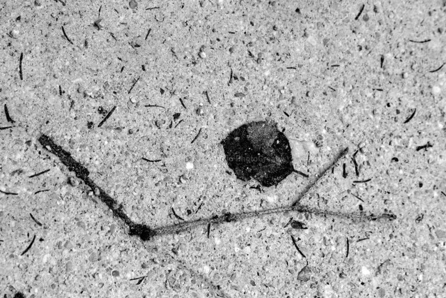 _MG_1767 | Creative photoart by Gerd Herm. - Realisiert mit Pictrs.com