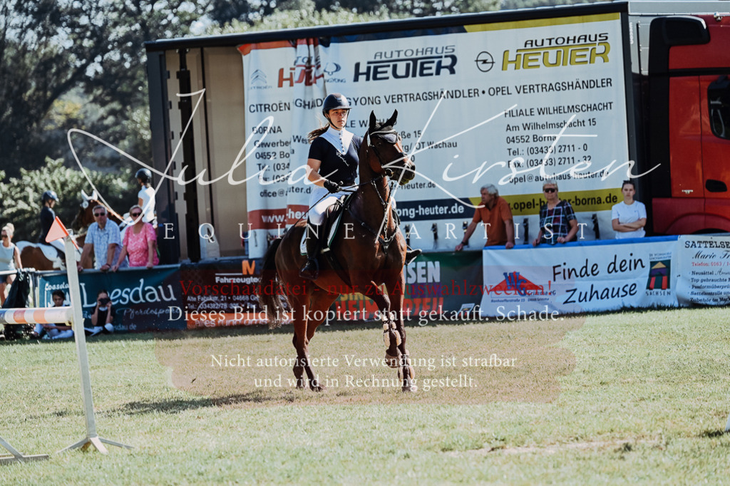 DSC_5708 | Pferde- und Turnierfotografie in Westsachsen. Pferdeportraits, Auftragszeichnungen und intuitive Kunst.