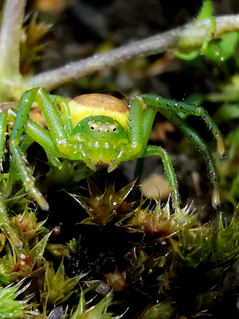 PSX_20230526_232330 | mtkfoto_ - Realisiert mit Pictrs.com