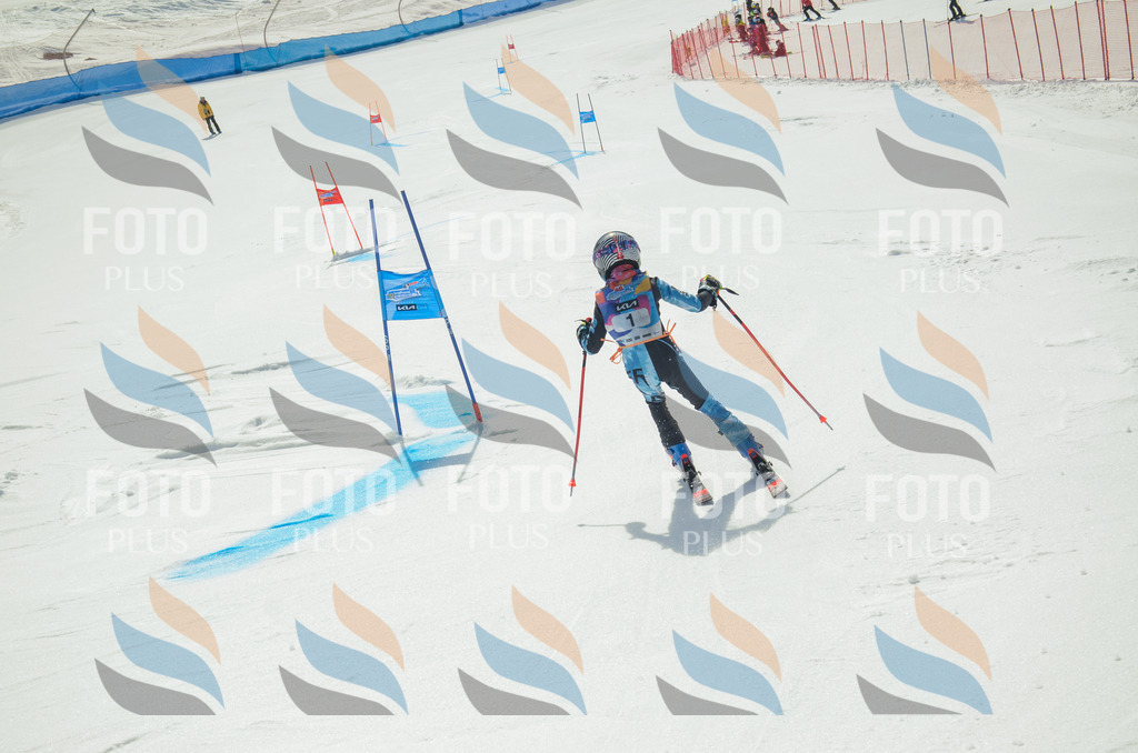 _ELE4339 | holidayphoto