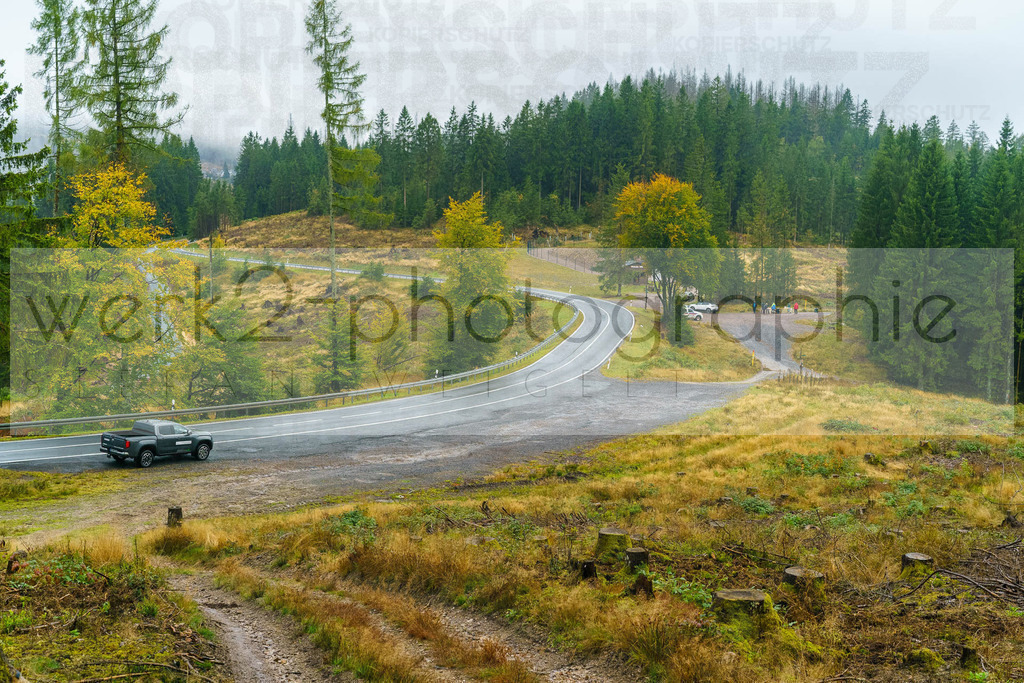 Herbstlauf 2025 | Rennsteig-Herbstlauf am 5. Oktober 2025 von Neuhaus/Rwg. nach Masserberg