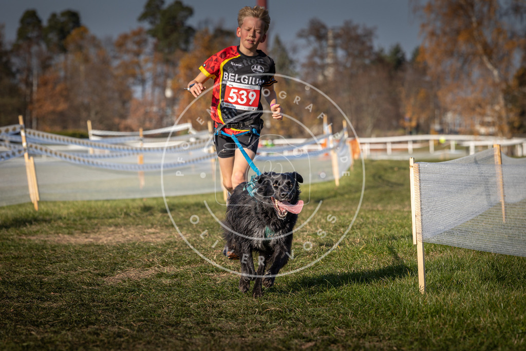 CaniXpix_0L8A8905 | Hundefotografie, Tierfotograf, Pfotenfotografie, Fotoshooting Hund, Hunde Portrait, Hundesport, Hundeportraits, Heideshooting, Hunde, Sportfotograf, Hundefotograf, Turnierhundsport, THS,  - Realisiert mit Pictrs.com