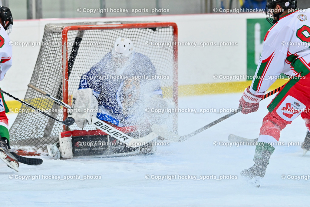 BST_9509 | hockey sports photos, Pressefotos, Sportfotos, hockey247, win 2day icehockeyleague, Handball Austria, Floorball Austria, ÖVV, Kärntner Eishockeyverband, KEHV, KFV, Kärntner Fussballverband, Österreichischer Volleyballverband, Alps Hockey League, ÖFB, 