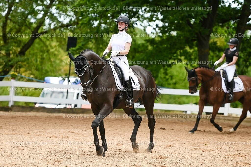 20230715_05_Dressurprüfung Kl.A++_0301 | equistock