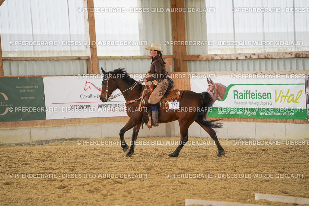 DSC04367 | Pferdegrafie