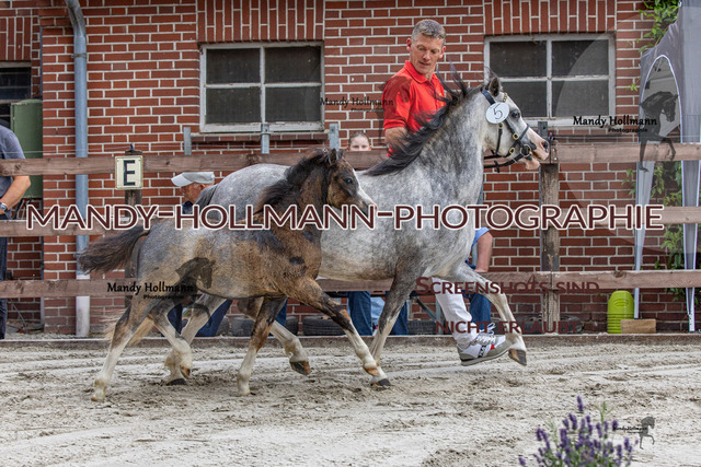 1 (1363) | mandyhollmannphotographie