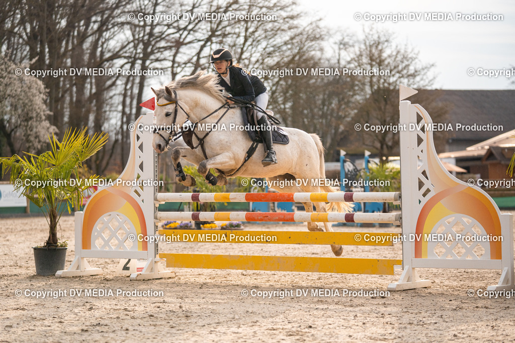 Kranichstein Tag 2-1476 | dv-media-shop - Realisiert mit Pictrs.com