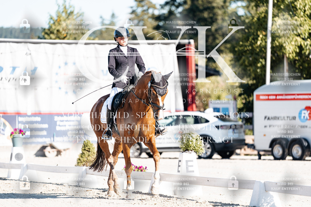 CK907260 | Turnierfotografie Pferdefotografie Trier Rheinland-Pfalz Pferdesport Reitsport Tierfotografie Sportfotografie Pferdevideo Pferdevideografie Equestrianvideography equestrianphotography  - Realisiert mit Pictrs.com