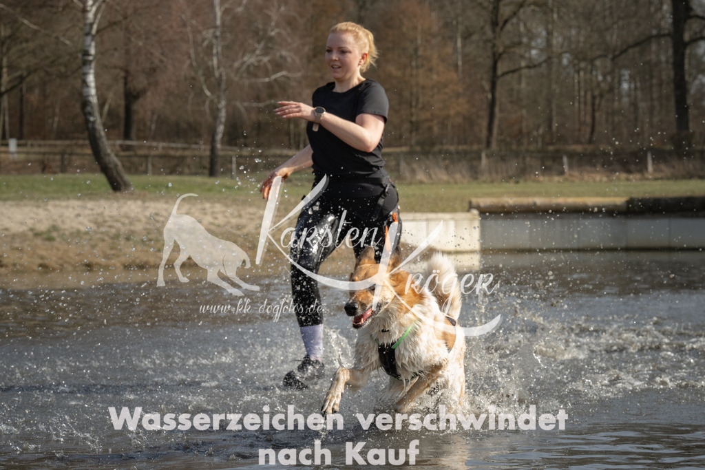 1250_ZZ92297 | kk-dogfotos