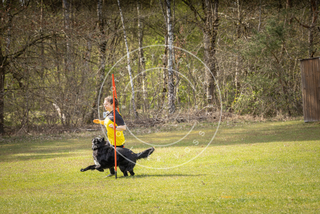 Pfotenfotografie_DV3A0118 | Hundefotografie, Tierfotograf, Pfotenfotografie, Fotoshooting Hund, Hunde Portrait, Hundesport, Hundeportraits, Heideshooting, Hunde, Sportfotograf, Hundefotograf, Turnierhundsport, THS,  - Realisiert mit Pictrs.com
