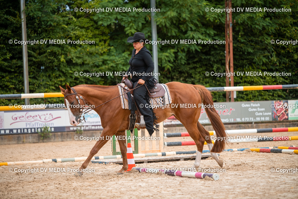 ZS2_8028 | dv-media-shop - Realisiert mit Pictrs.com