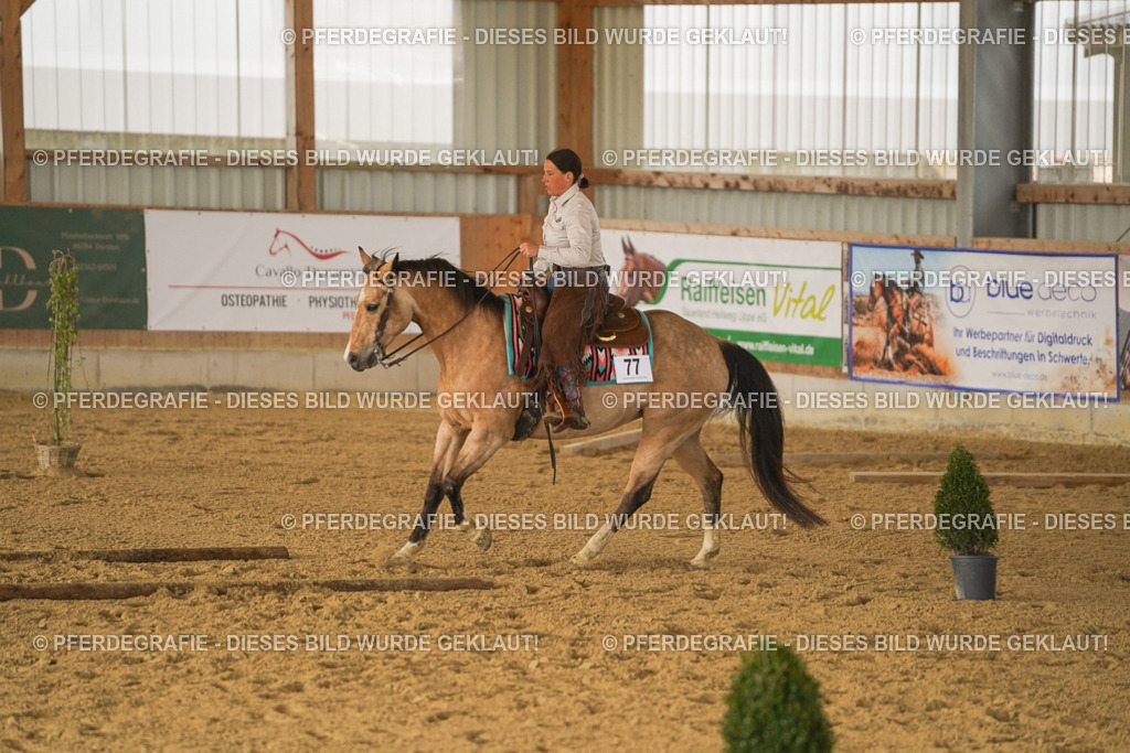 DSC03135 | Pferdegrafie