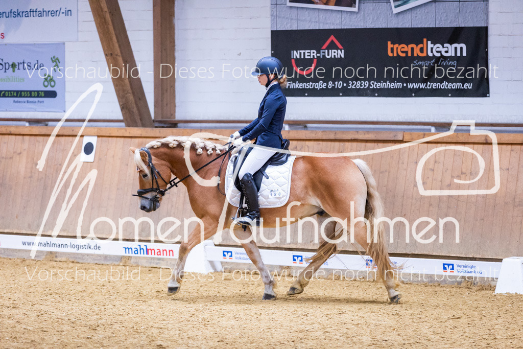 Sth-A-Dre-2St-032 | MomenTaufnahmen Pferdesportfotos