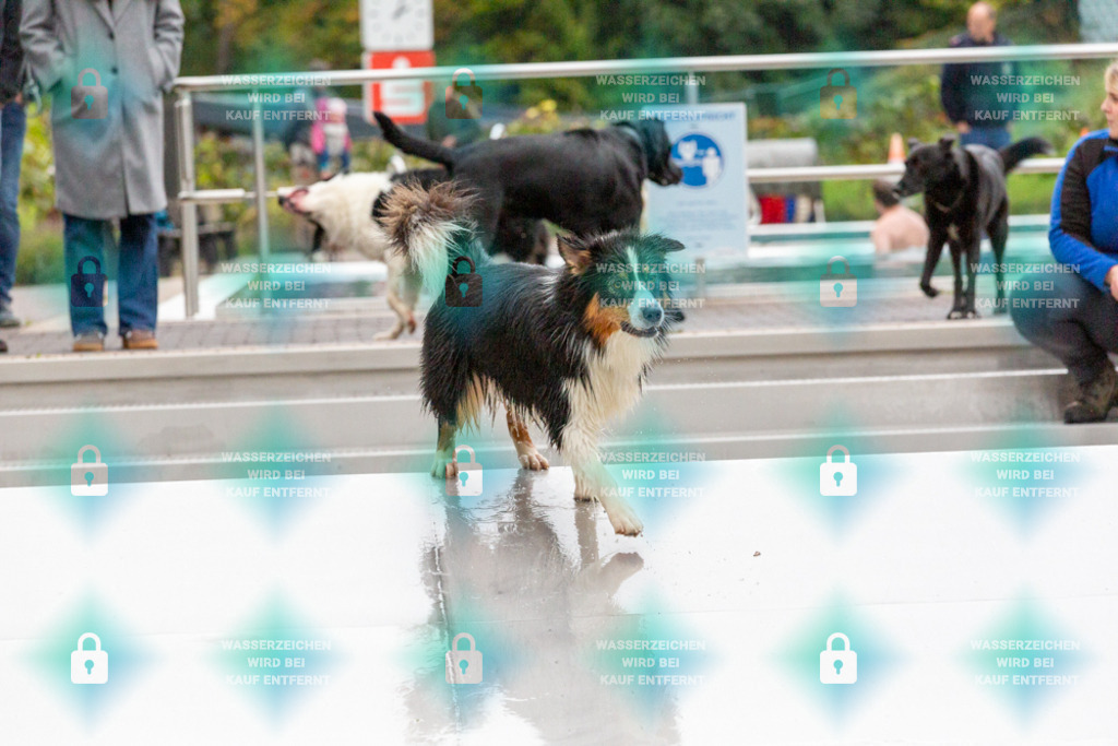 _HP_7427_1000o | HetPix, HetPix Fotodesign, Fotografie, Fotodesign, Webshop, Sportfotografie, Portraitfotografie, Onlineshop, Sportfotografie, Polch, Motorsportfotografie, Eventfotografie