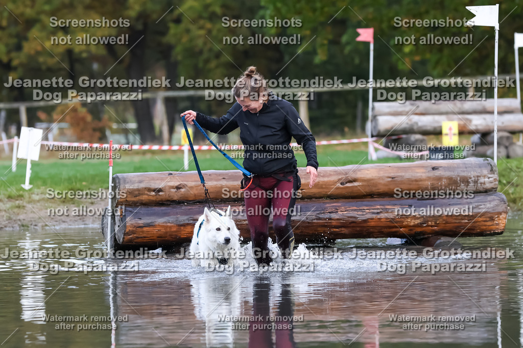 Dog Paparazzi - Strongdog 10-25-6641 | Dog Paparazzi Jeanette Grottendiek Fotografie & Videografie