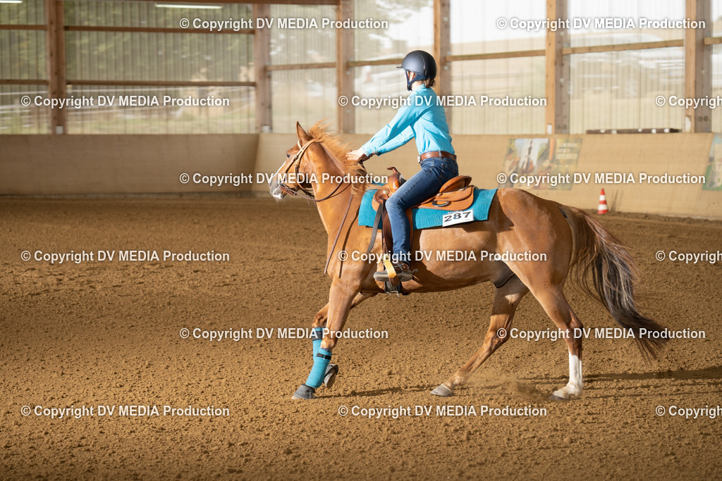 LAU01625 | dv-media-shop - Realisiert mit Pictrs.com