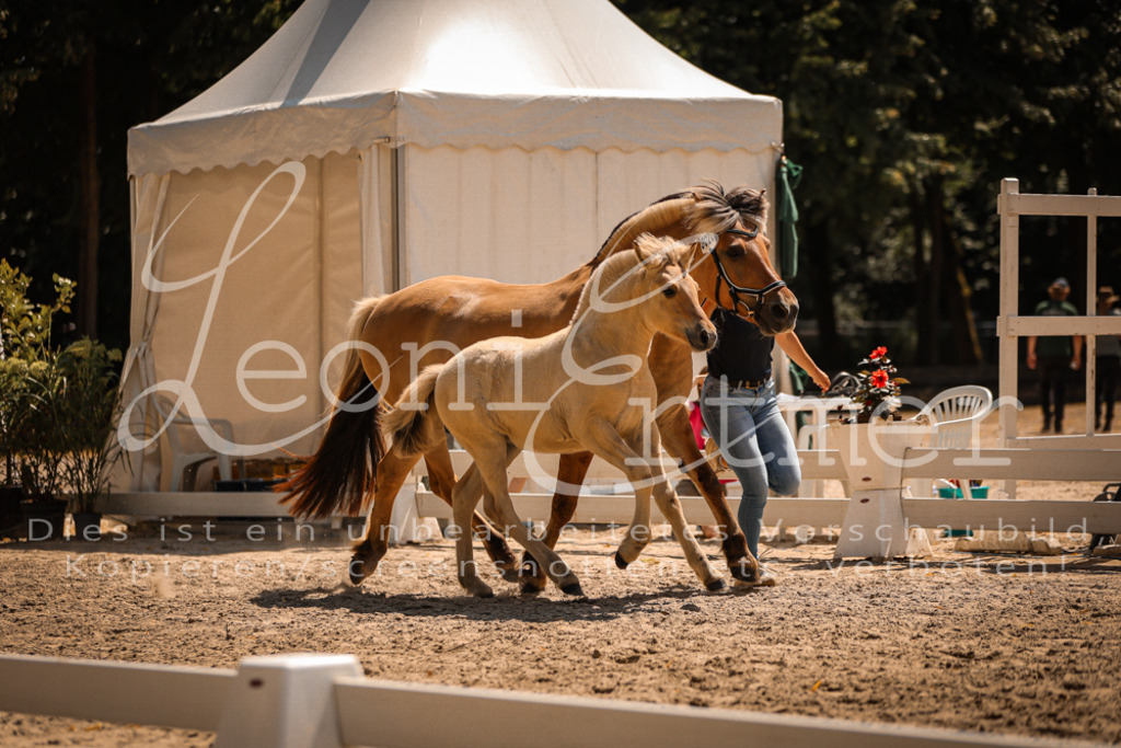 05.DoF00024 | Leoni Ertmer Photography - Realisiert mit Pictrs.com