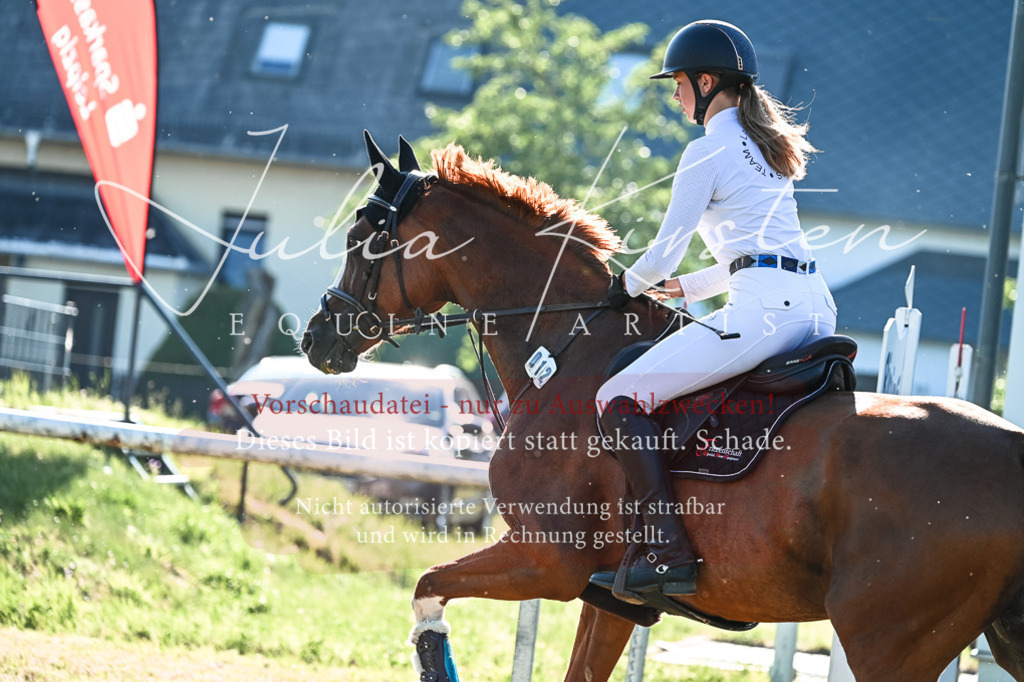 DSC_2763 | Pferde- und Turnierfotografie in Westsachsen. Pferdeportraits, Auftragszeichnungen und intuitive Kunst.