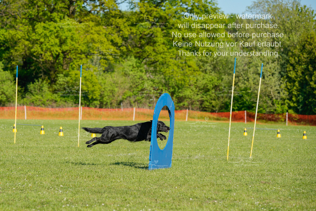 Sa_CSC-464 | stephaniefillaphotographie - Realisiert mit Pictrs.com