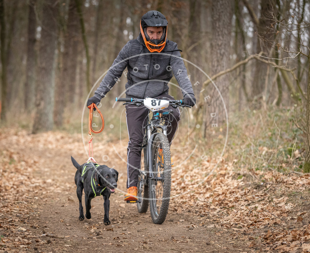 Pfotenfotografie_DV3A6536 | Hundefotografie, Tierfotograf, Pfotenfotografie, Fotoshooting Hund, Hunde Portrait, Hundesport, Hundeportraits, Heideshooting, Hunde, Sportfotograf, Hundefotograf, Turnierhundsport, THS,  - Realisiert mit Pictrs.com