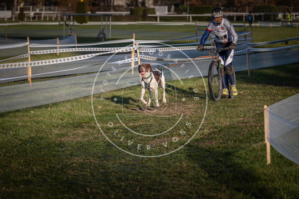 CaniXpix_0L8A3713 | Hundefotografie, Tierfotograf, Pfotenfotografie, Fotoshooting Hund, Hunde Portrait, Hundesport, Hundeportraits, Heideshooting, Hunde, Sportfotograf, Hundefotograf, Turnierhundsport, THS,  - Realisiert mit Pictrs.com