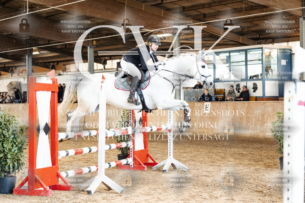 CK905178 | Turnierfotografie Pferdefotografie Trier Rheinland-Pfalz Pferdesport Reitsport Tierfotografie Sportfotografie Pferdevideo Pferdevideografie Equestrianvideography equestrianphotography  - Realized with Pictrs.com