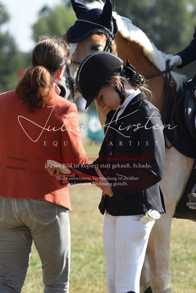DSC_6192 | Pferde- und Turnierfotografie in Westsachsen. Pferdeportraits, Auftragszeichnungen und intuitive Kunst.