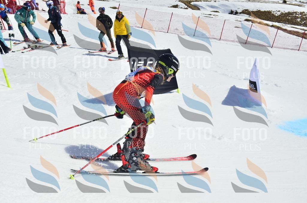 _ELE1131 | holidayphoto